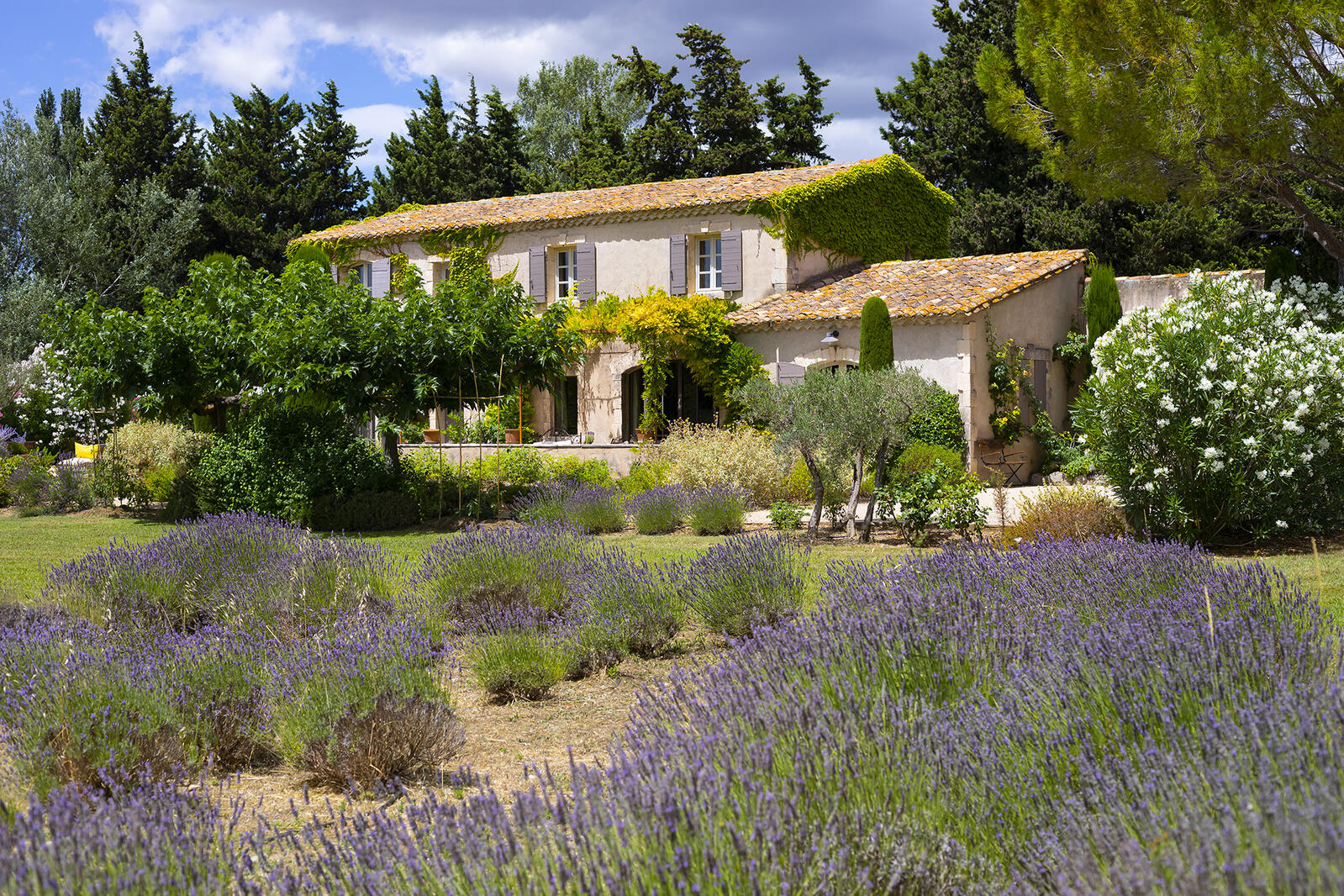 Vakantiehuizen en Provence