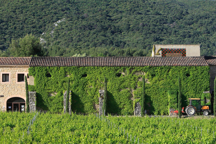 Wine Courses in Ménerbes