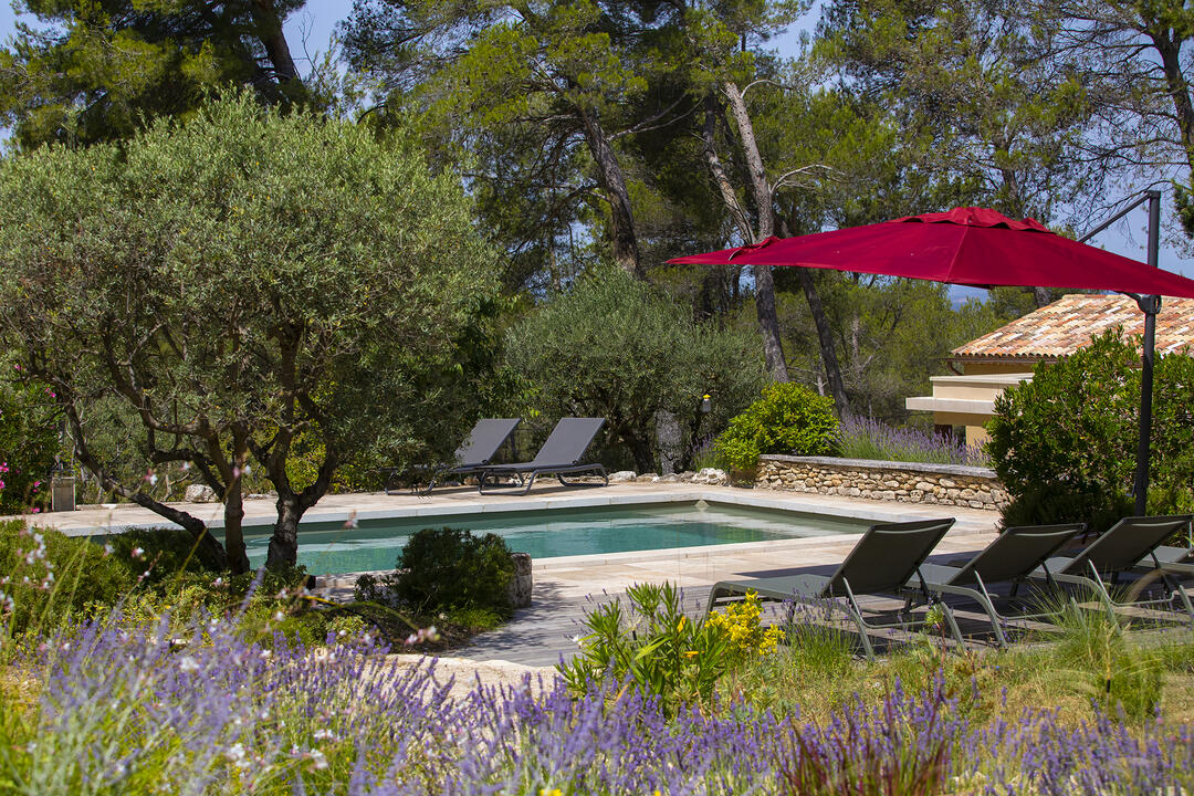 Elegante residentie gelegen in een idyllische omgeving, in het hart van de Alpilles in Saint-Rémy-de-Provence. Le Clos du Figuier - 4