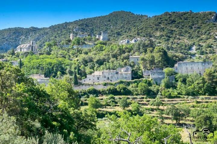 Exceptional Property in the Luberon, with panoramic views and outstanding decor Oppède - 4