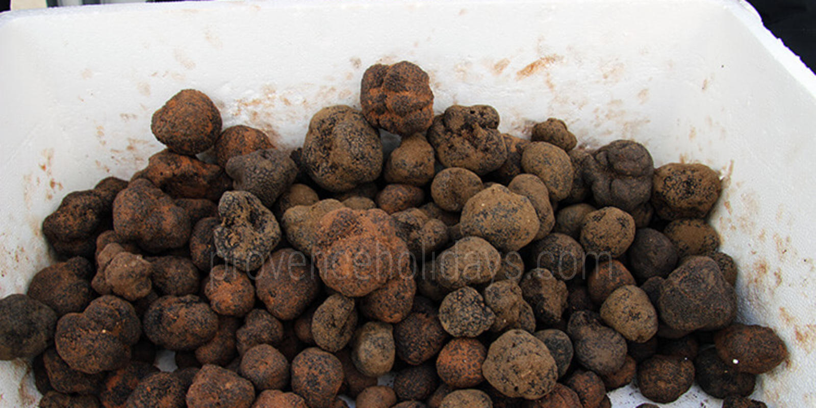 Richerenches truffle market - 0
