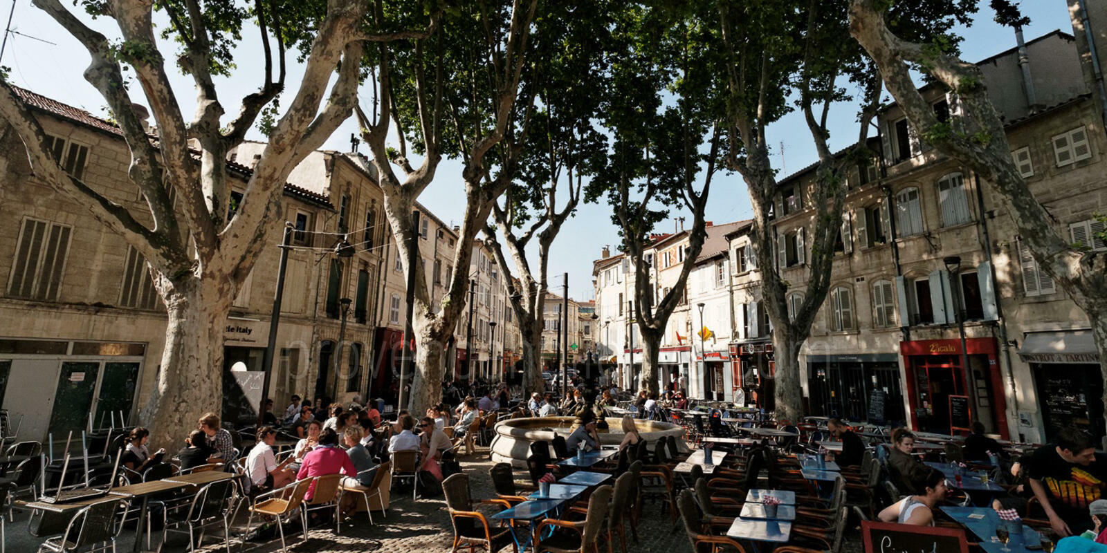 Avignon Gourmet tours - 1