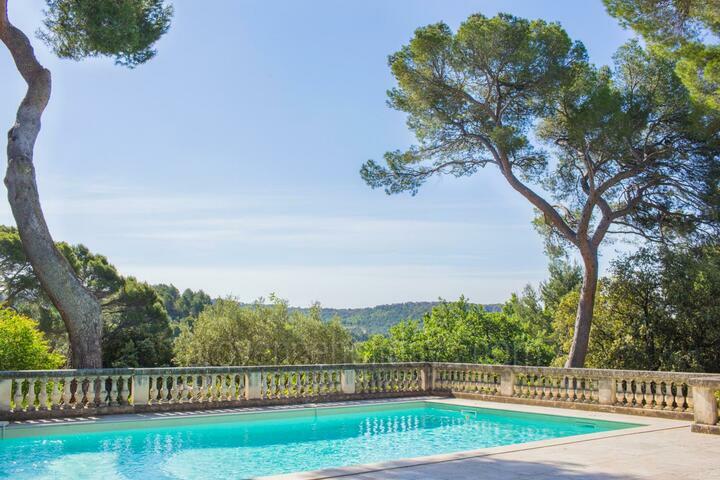 Luxe kasteel voor twaalf gasten in de Provence 2 - Château Vacqueyras: Villa: Pool