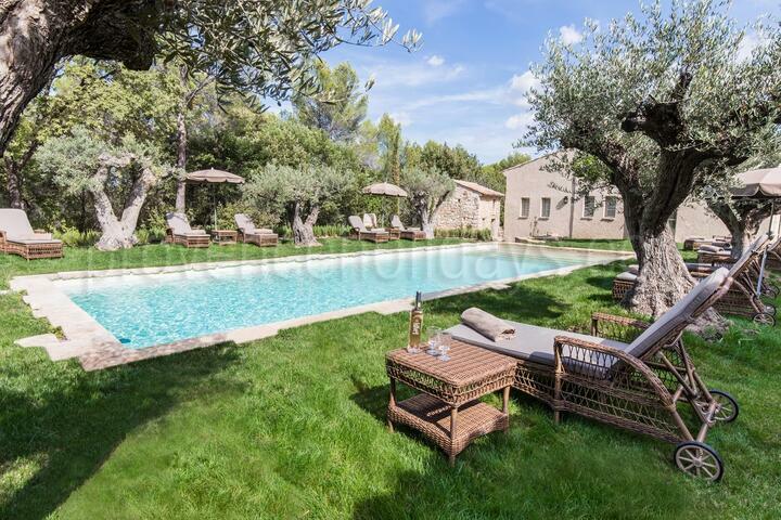 Luxury Villa with Heated Pool for Twelve Guests 2 - Villa en Provence: Villa: Pool