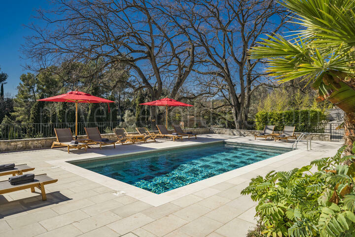 Luxurious Retro Villa with Heated Pool near Nice 2 - Villa Riviera: Villa: Pool