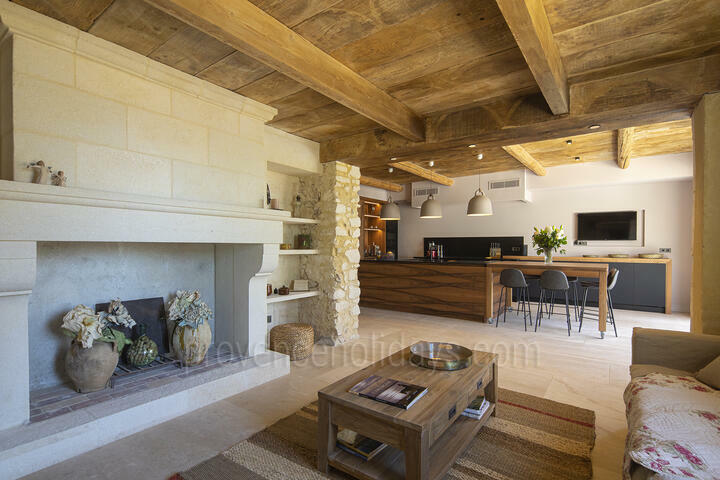 Luxury Holiday Rental with Heated Pool near Avignon 2 - Mas des Lions: Villa: Interior