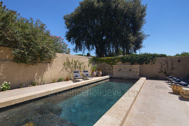 Luxury Holiday Rental with Heated Pool near Avignon 3 - Mas des Lions: Villa: Exterior