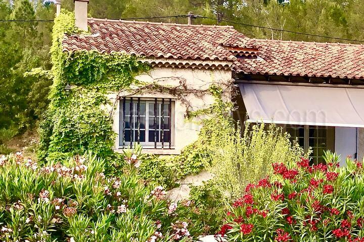 Superb family bungalow near the Château Miraval 0 - Villa d\'Angogne: Villa: Exterior