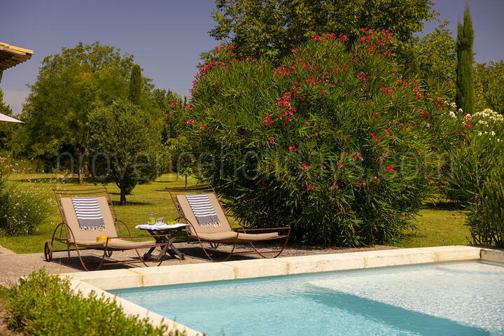 Classically Inspired Farmhouse between the Luberon and the Alpilles 3 - Mas Le Thor: Villa: Pool