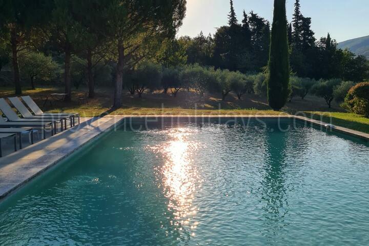 Magnificent property in the countryside of Ménerbes, with panoramic view and olive grove 2 - Mas Vernet: Villa: Pool
