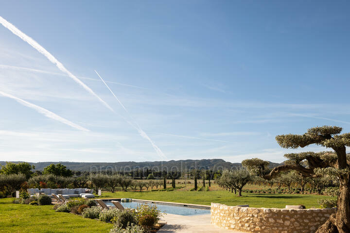 Exceptional farmhouse in the heart of the Alpilles 2 - Mas Chabaud: Villa: Exterior