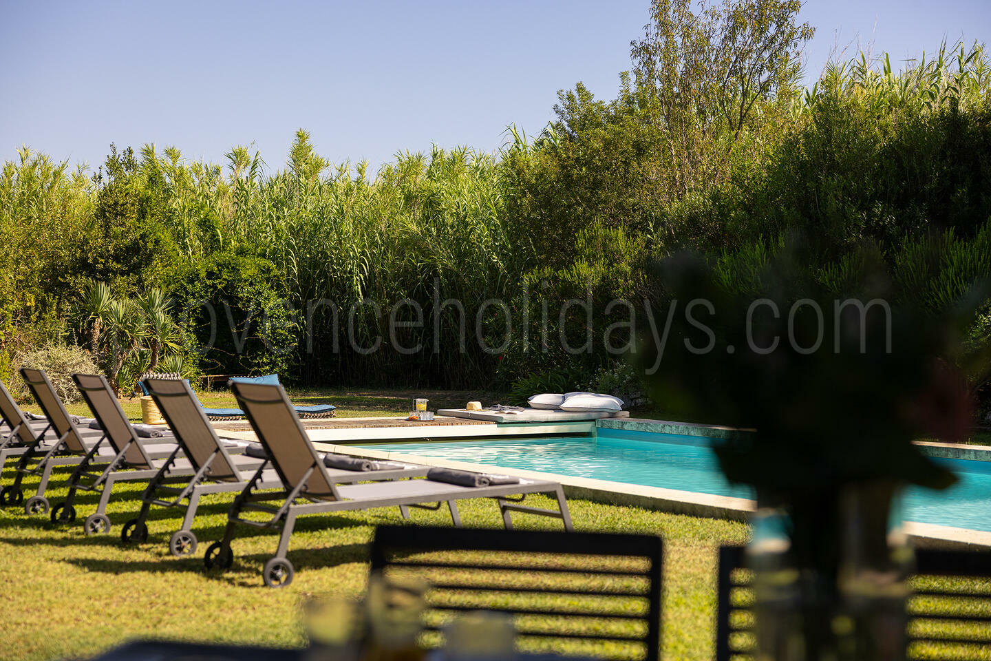 Stunning 17th century Hunting Reserve, surrounded by olive groves in Maussane 1 - Mas du Rosier: Villa: Pool