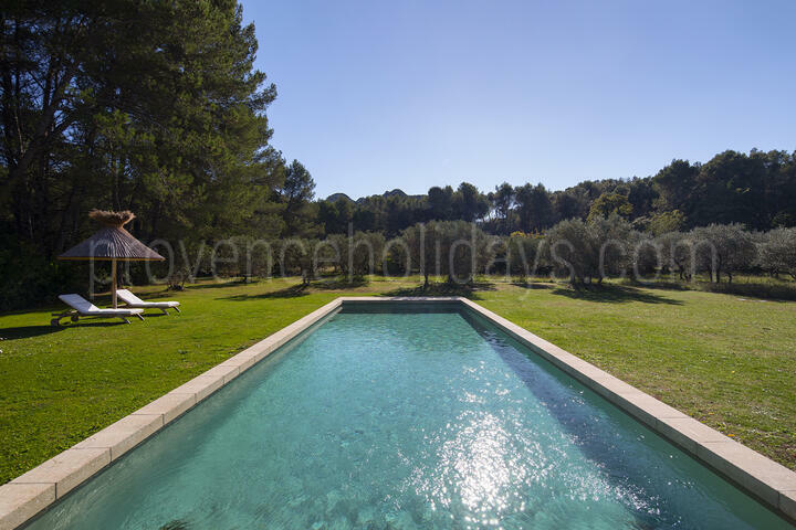 Groot huis te huur in Saint-Rémy-de-Provence 2 - Mas Rémy: Villa: Pool