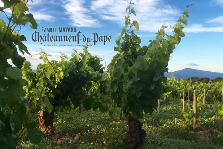 Domaines vinicoles à Châteauneuf-du-Pape
