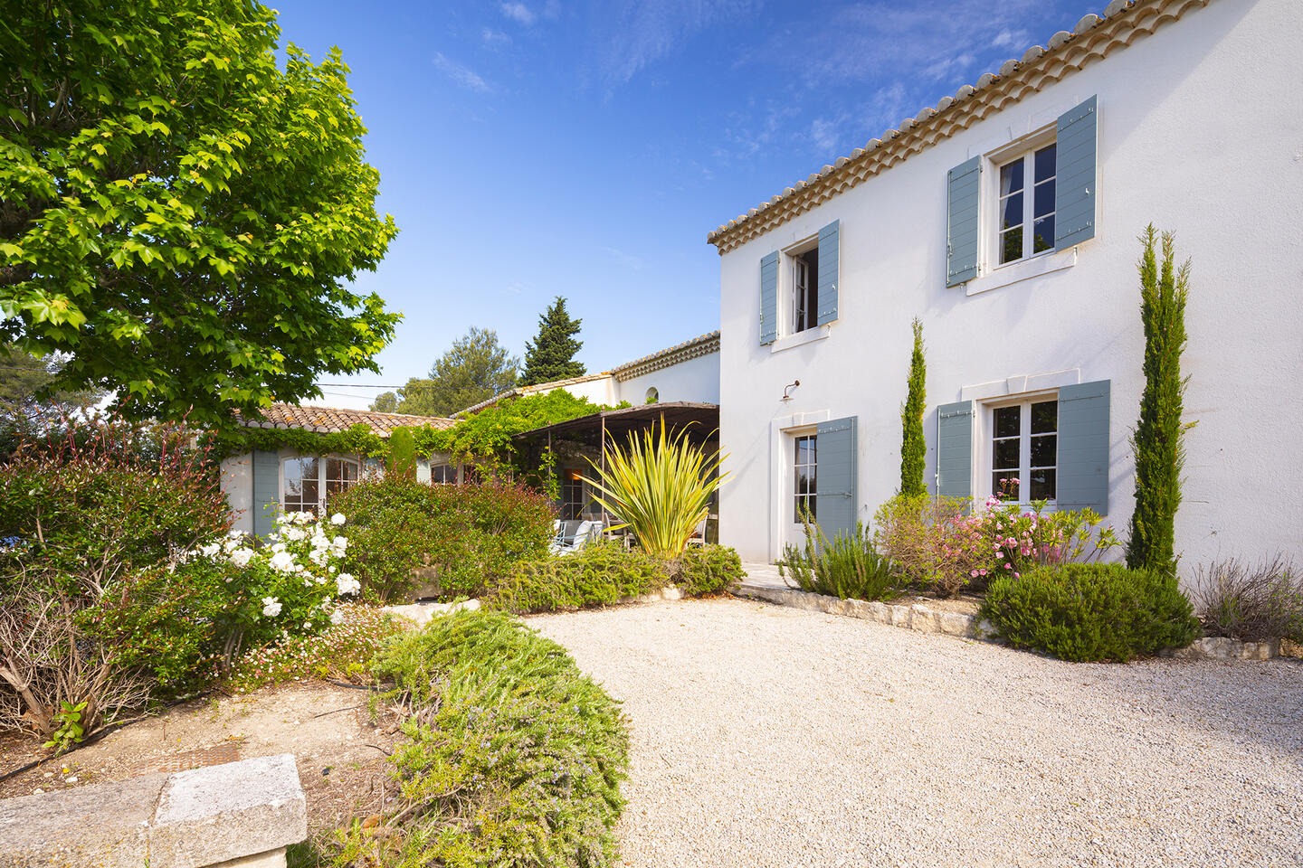 35 - Le Mas de Provence: Villa: Exterior