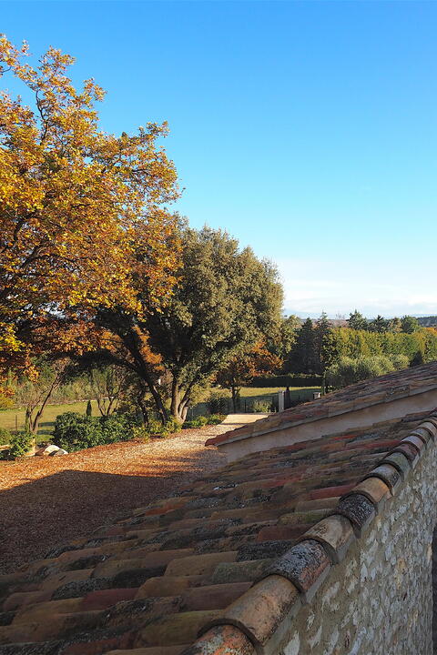 57 - Le Mas Provençal: Villa: Exterior