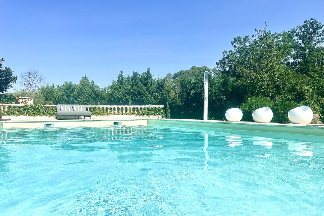 Superbe propriété familiale, au cœur de la Provence Verte 4 - Villa d\'Angogne: Villa: Pool