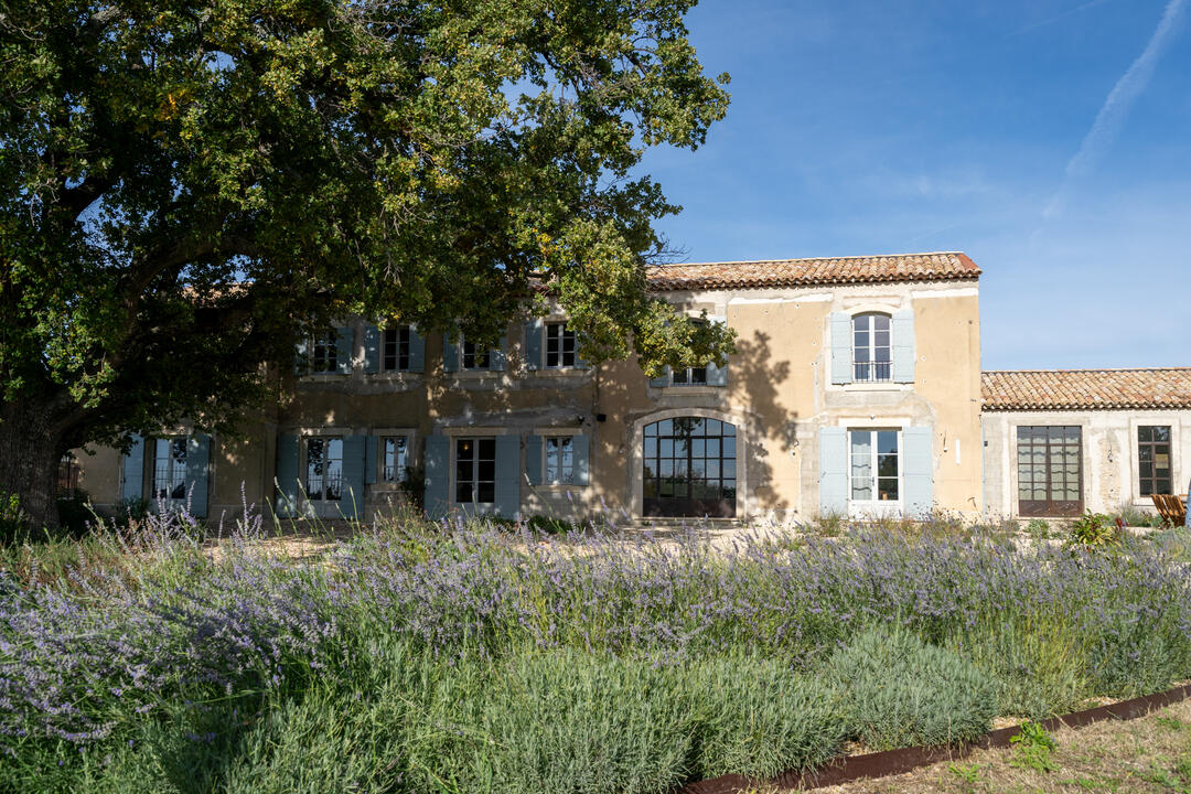 Superbe Mas rénové pour 12 personnes, au cœur des vignobles de la vallée du Rhône 4 - Mas des Chênes: Villa: Exterior