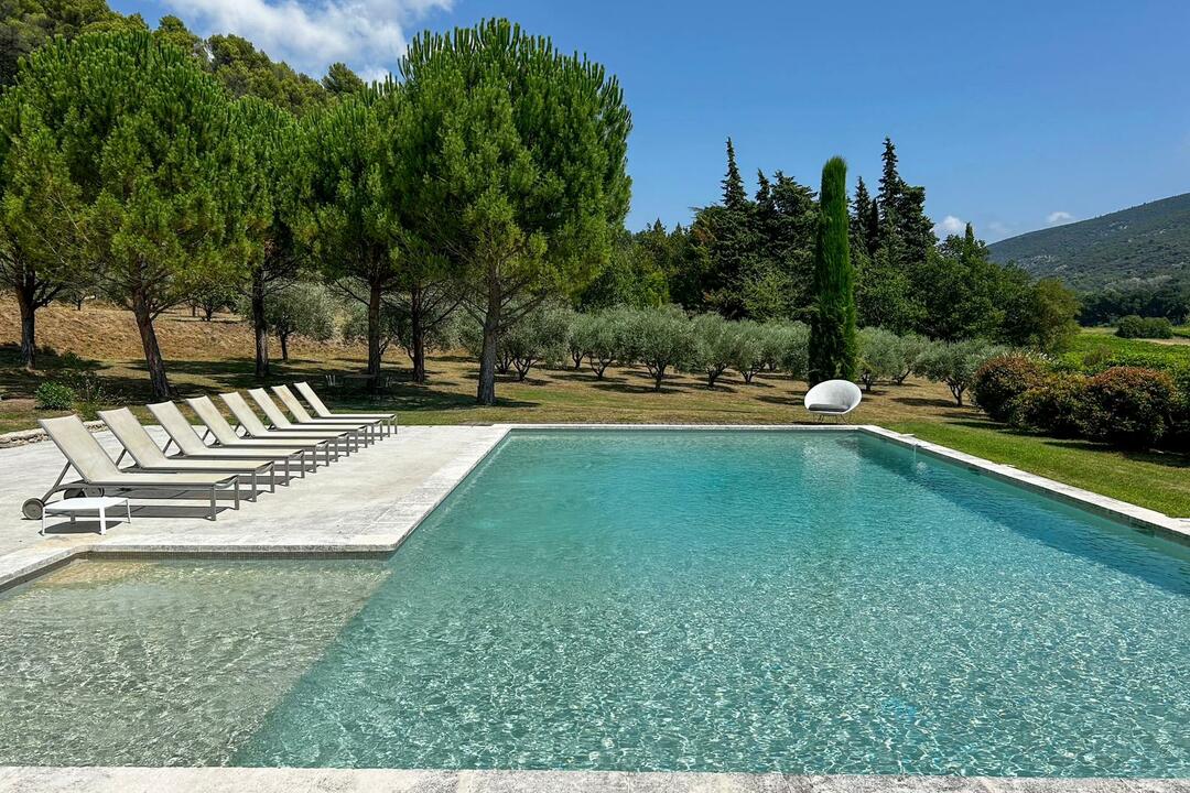 Wunderschönes Anwesen in der Landschaft von Ménerbes, mit Panoramablick und Olivenhain 4 - Mas Vernet: Villa: Pool