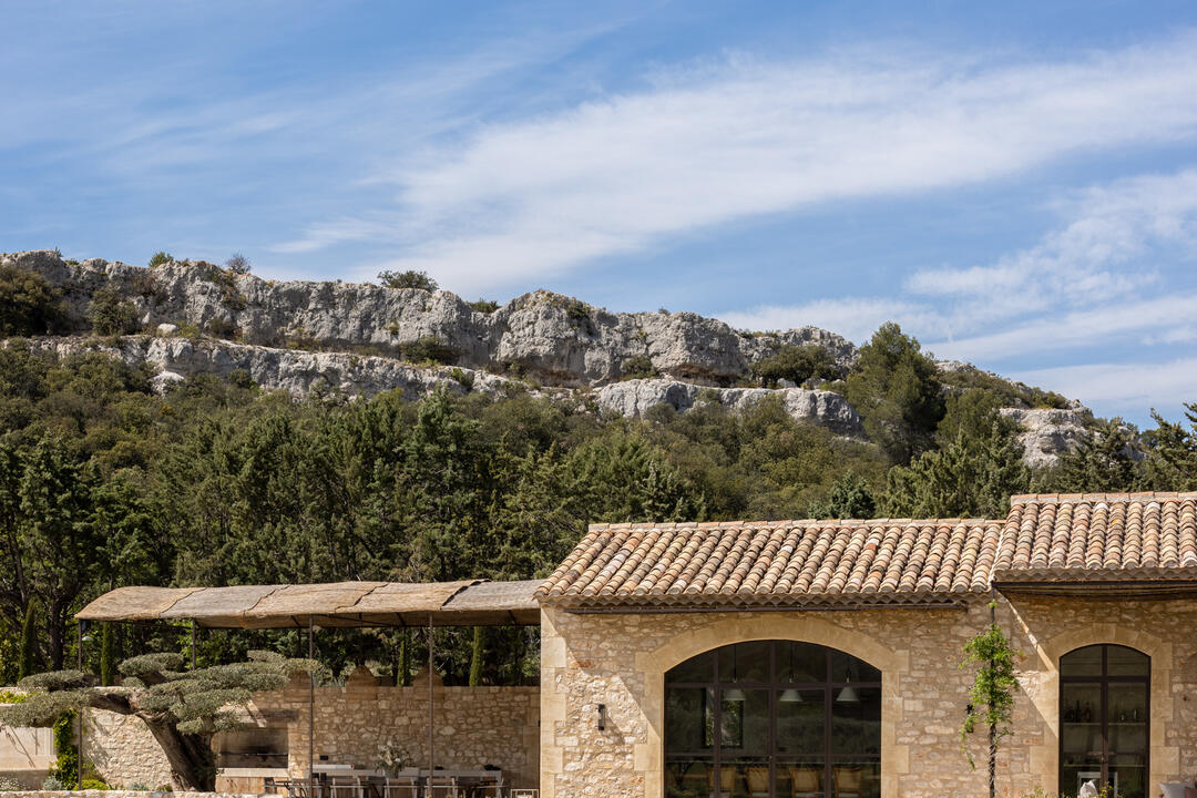 Exceptional farmhouse in the heart of the Alpilles 5 - Mas Chabaud: Villa: Exterior
