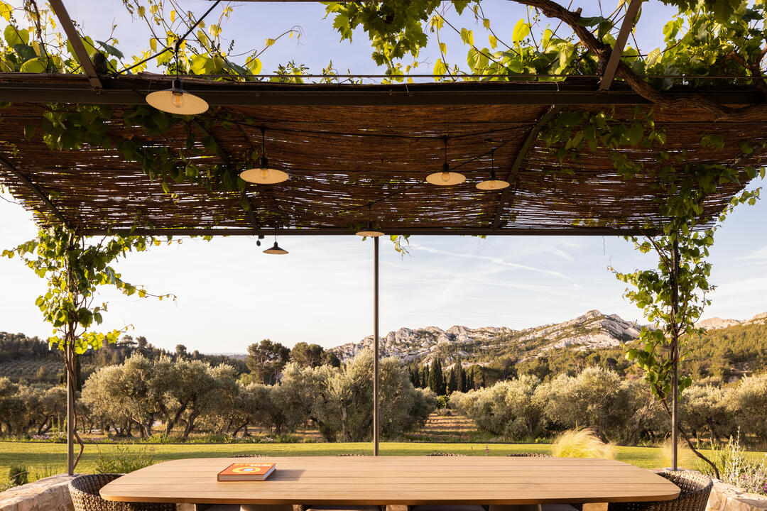 A panoramic view in the heart of the Alpilles 7 - Mas des Collines: Villa: Exterior
