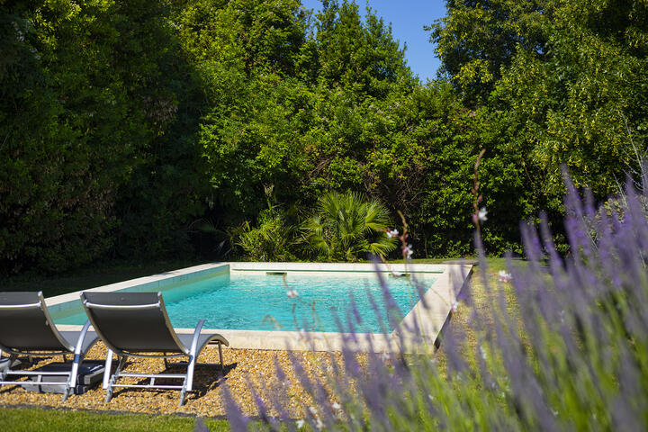 23 - Air-conditioned Bastide with swimming pool near the centre of Saint-Rémy: Villa: Pool