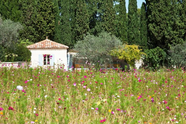 22 - Mas Provence: Villa: Exterior