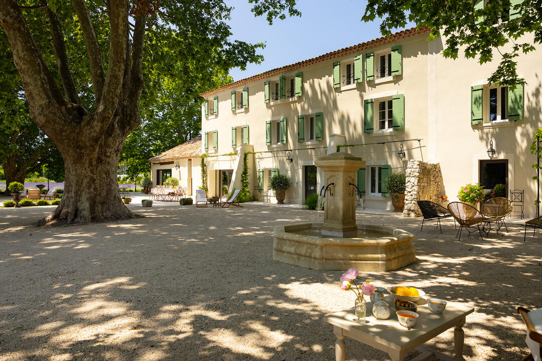 Anwesen mit Pool und Lavendelfeld zwischen dem Luberon und den Alpillen 5 - La Bastide Lavande: Villa: Exterior
