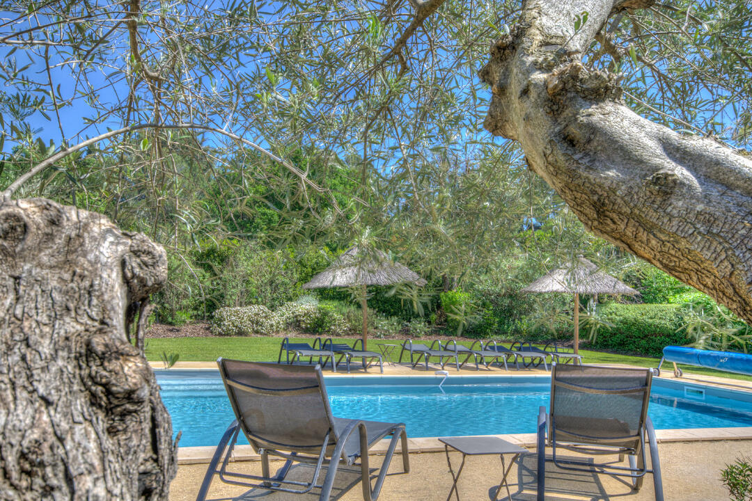 Huisdiervriendelijke villa met verwarmd zwembad 5 - Chez Alare: Villa: Pool