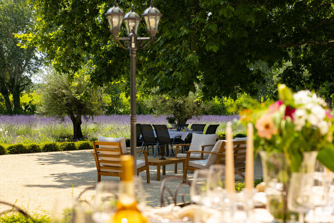Stunning villa with a pool and lavender field between Luberon and Alpilles 6 - La Bastide Lavande: Villa: Exterior