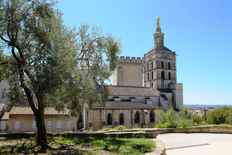 Avignon - 19