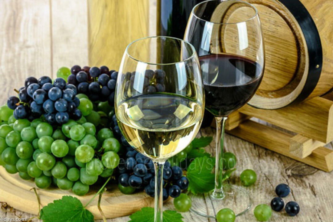 Wine Tours in Avignon