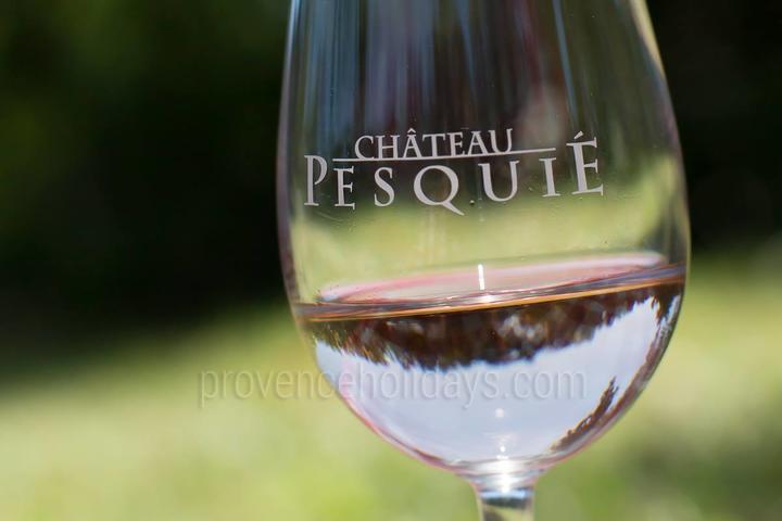 Château Pesquié - Visite de vignobles Château Pesquié - Visite de vignobles - 2