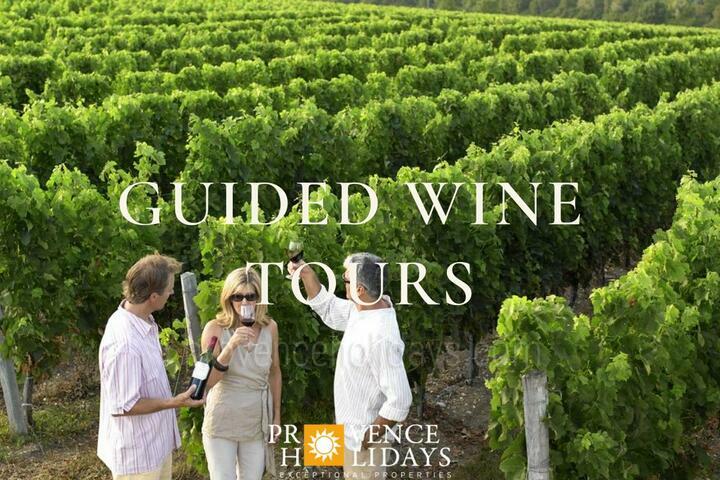 Guided Wine Tours