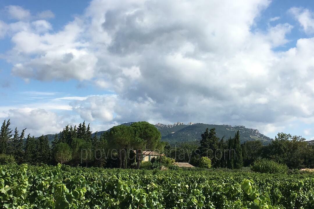 Mas provençal du XIXe siècle situé au milieu des vignes 5 - Mas de Charla: Villa: Exterior