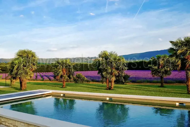 Property for sale with exceptional view 2 - Bonnieux Mas: Villa: Pool
