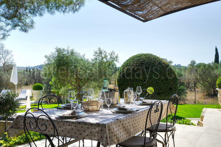 Beautiful Villa with Heated Pool near Fontvieille 3 - Le Mas des Olives: Villa: Exterior