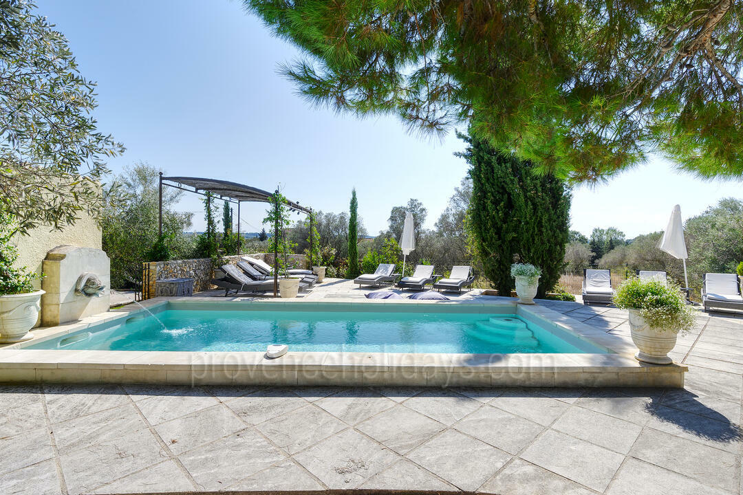 Beautiful Villa with Heated Pool near Fontvieille 6 - Le Mas des Olives: Villa: Pool