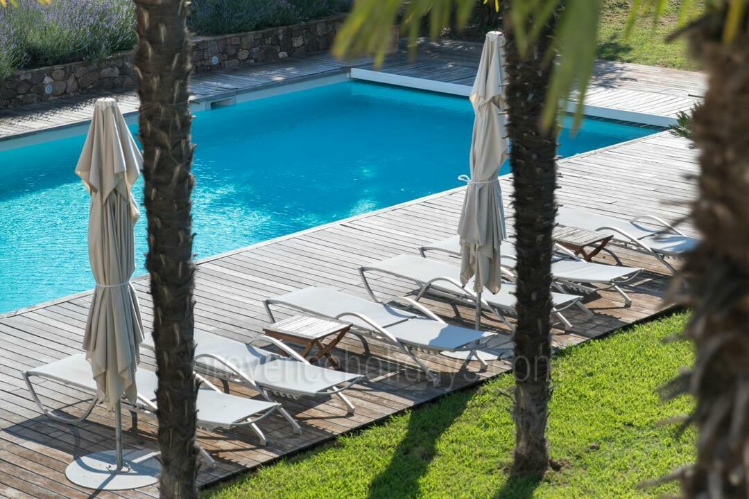 Belle bastide avec piscine chauffée et salle de sport 5 - Bastide de Vidauban: Villa: Pool