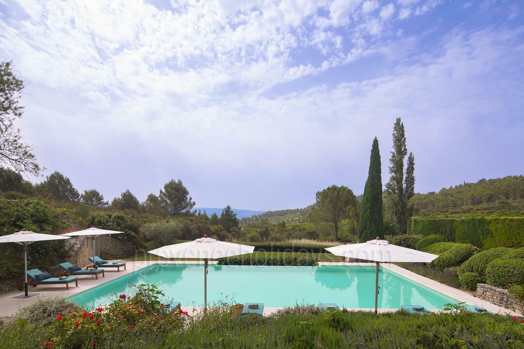 Villa met overloopzwembad dichtbij de Mont Ventoux 5 - Villa Dahlia: Villa: Pool