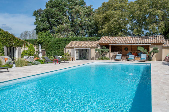 Huisdiervriendelijke boerderij met twee verwarmde zwembaden dichtbij Saint-Rémy-de-Provence Mas Aurelia - 3