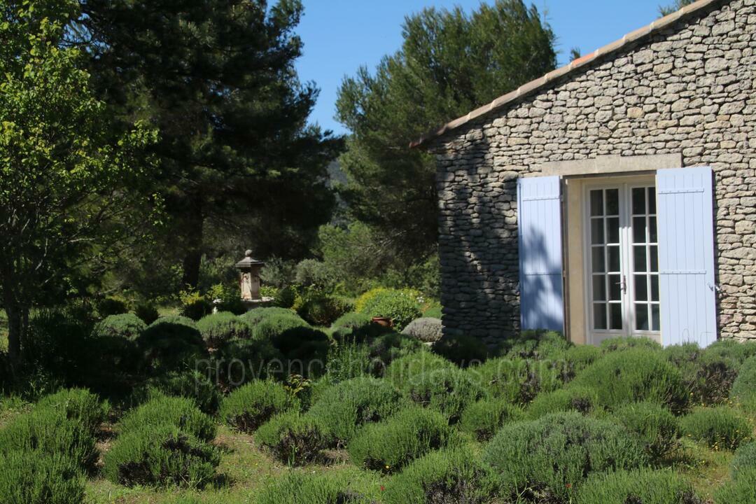 Charming Holiday Rental with Private Pool near Lacoste Villa Lacoste - 6