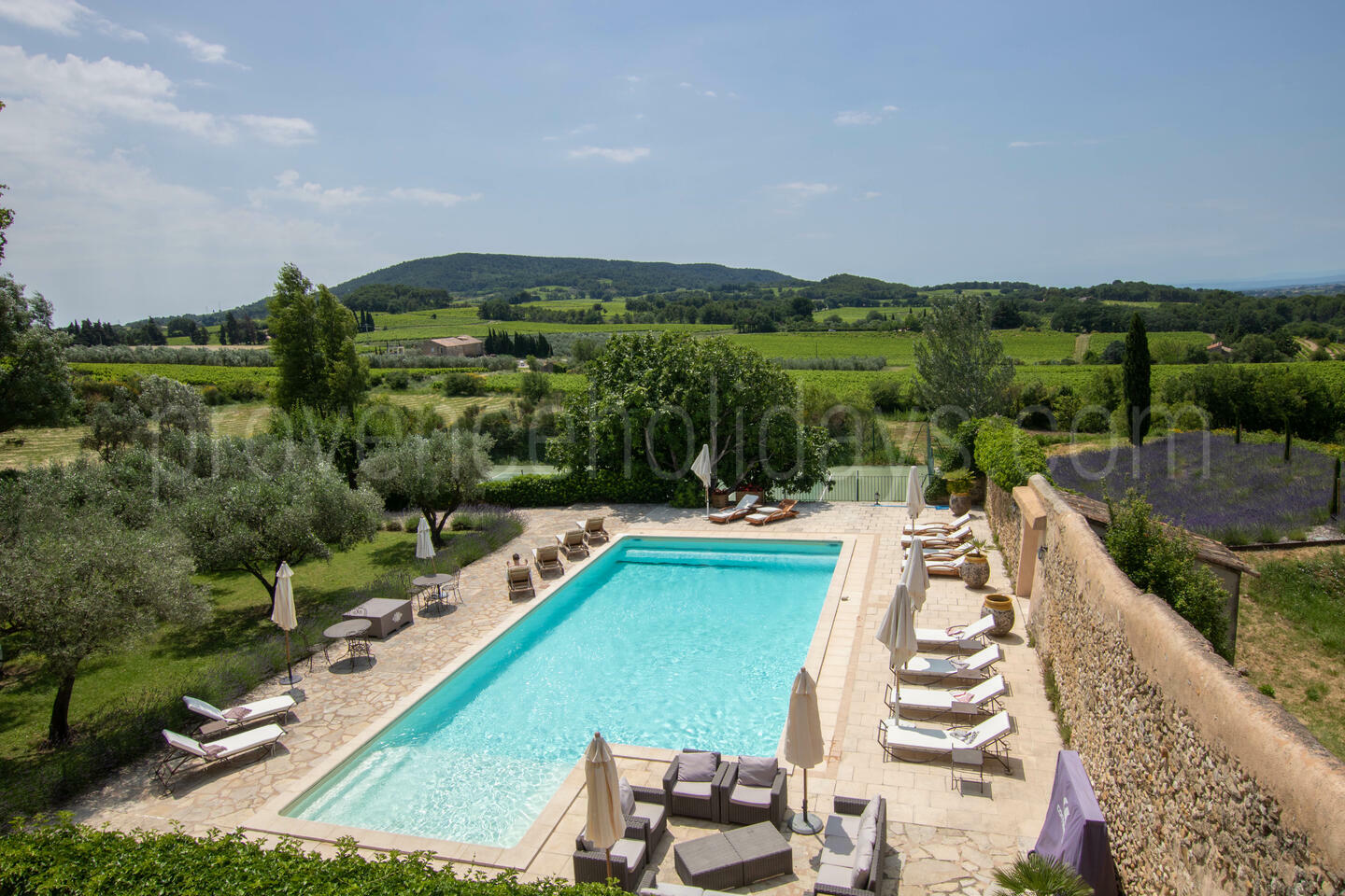 Uitzonderlijk historisch pand in de Mont Ventoux-vallei 1 - Château des Templiers: Villa: Pool