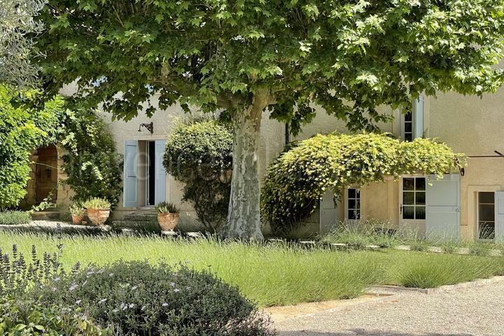 Schöne Immobilie zum Verkauf in der Provence Mas Forcalquier - 2