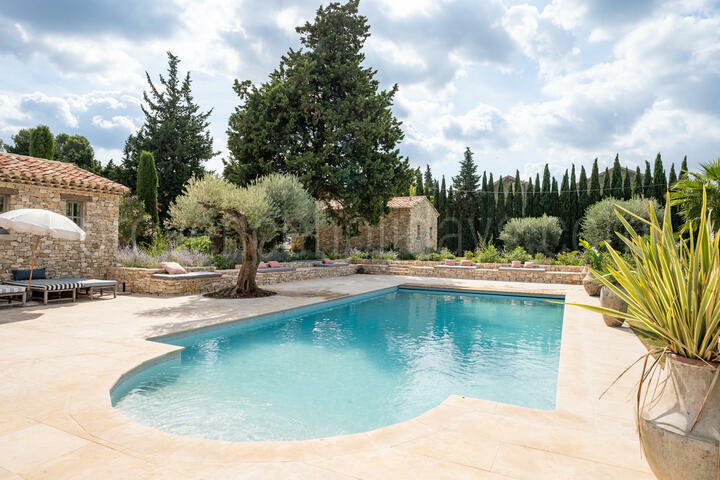 Superb property to rent in Saint Rémy de Provence Mas Province - 2