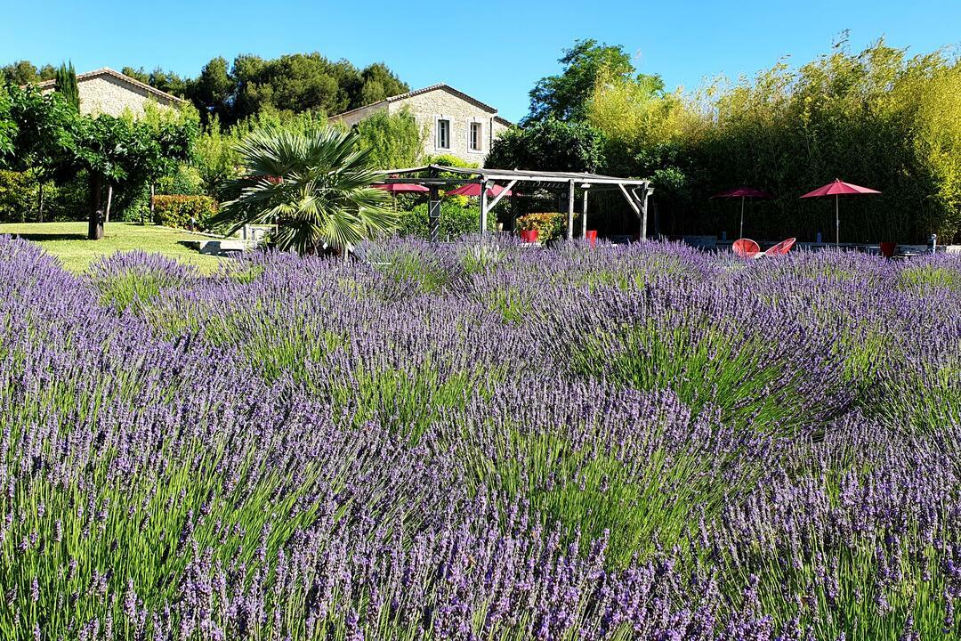 Exceptional property with swimming-pool, spa, fitness room near Isle-sur-la-Sorgue Stunning Bastide near Isle-sur-la-Sorgue - 5