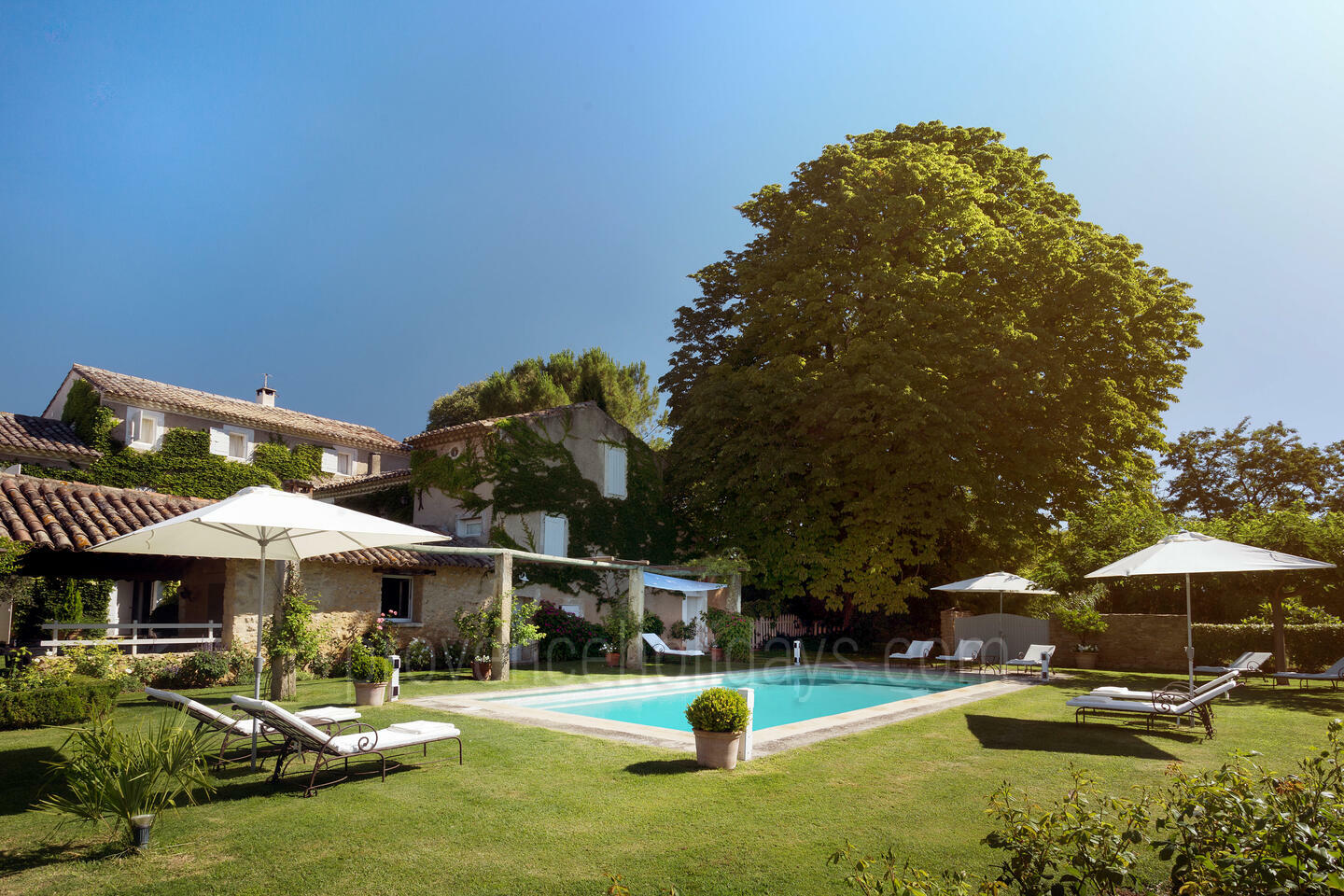 Provençaals huis op een landgoed met biologische olijfolie 1 - Mas de Robion: Villa: Pool