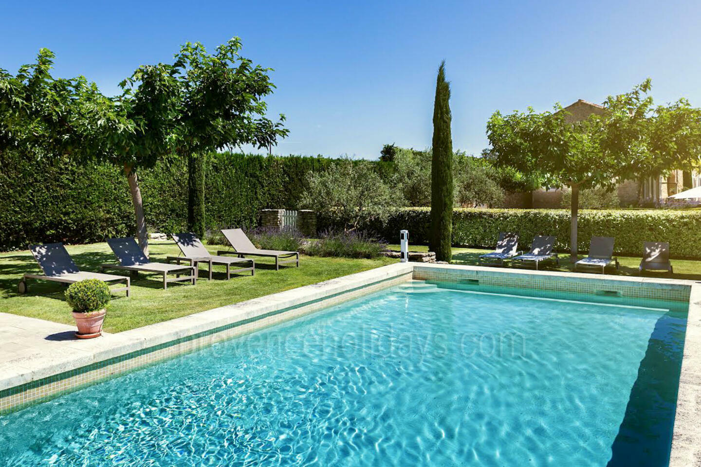 Charmant vakantiehuis op een olijfgaard 1 - Maison Robion: Villa: Pool