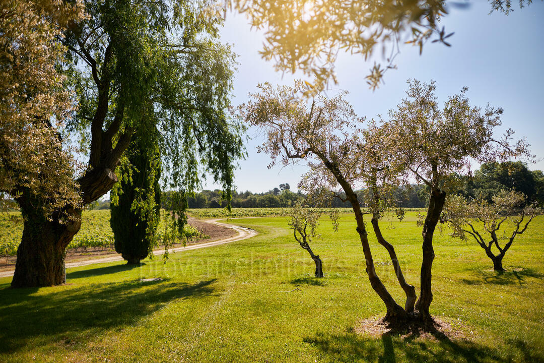 Location de vacances de luxe avec 30 hectares de terrain dans le Luberon 5 - Bastide de Luberon: Villa: Exterior