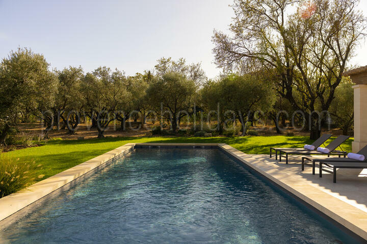 Mas avec piscine chauffée à Saint-Rémy-de-Provence 3 - Mas Leonie: Villa: Exterior